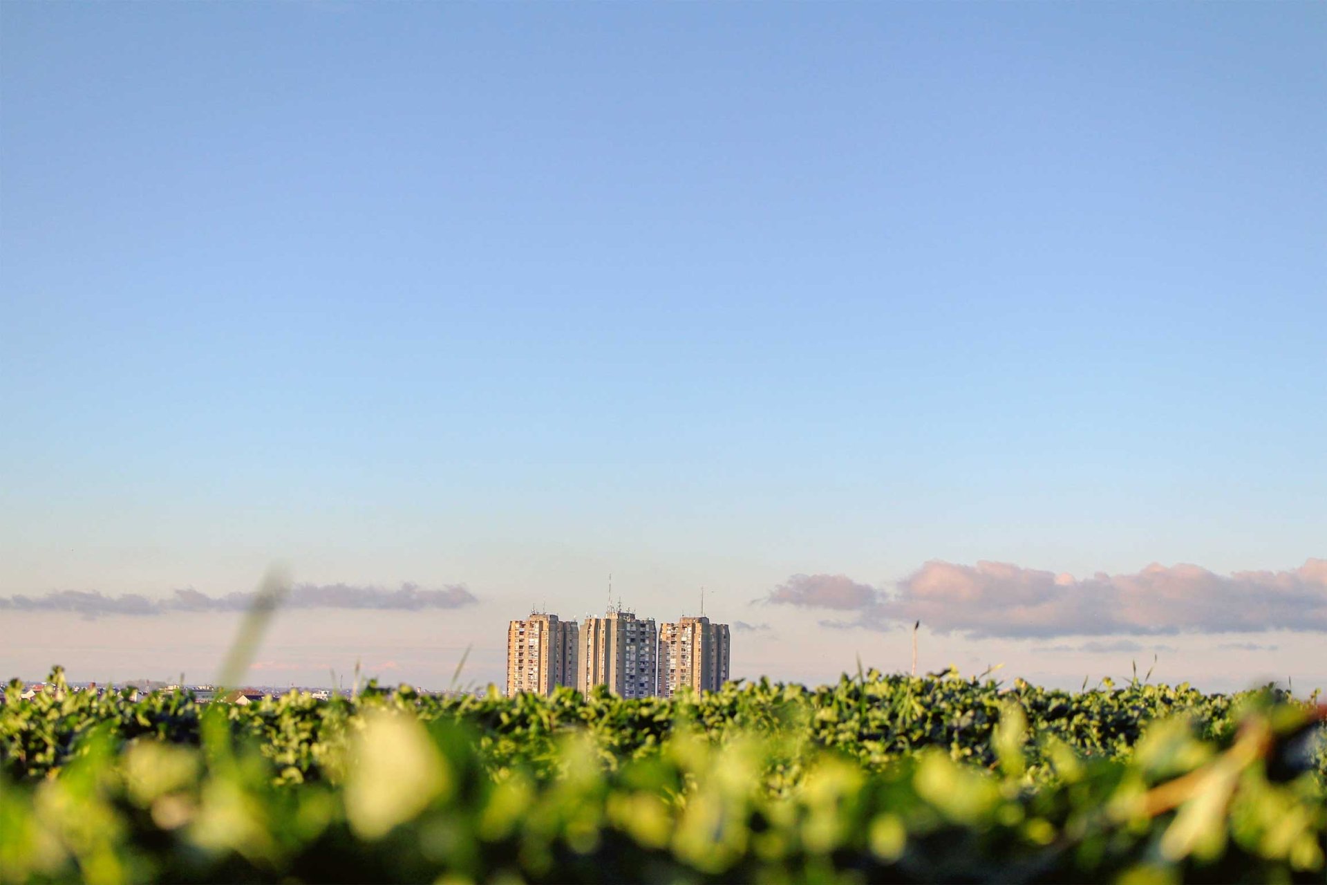 Green construction